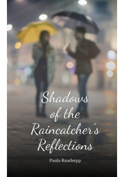 Shadows of the Raincatcher's Reflections