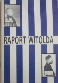 Raport Witolda