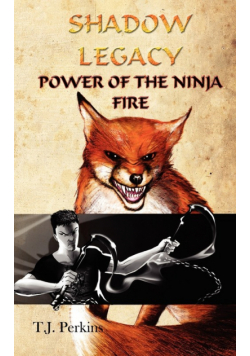 Power of the Ninja - Fire (Shadow Legacy, Book 2)
