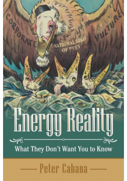 Energy Reality