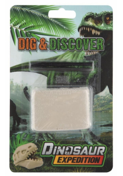 Wykopaliska skamieniałości dinozaurów