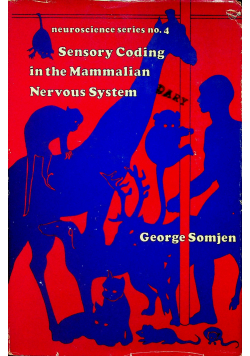 Sensory coding in the mammalian