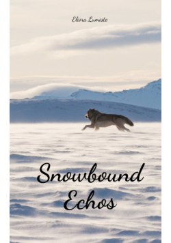 Snowbound Echos
