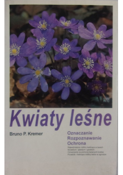 Kwiaty leśne