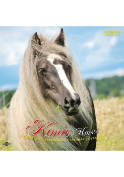 Kalendarz 2021 KAD-11 Konie AVANTI