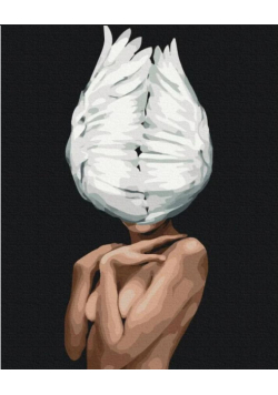 Malowanie po numerach - Pióra w głowie 40x50cm
