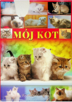 Mój kot