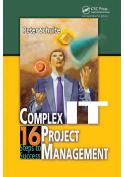 Complex IT Project Management