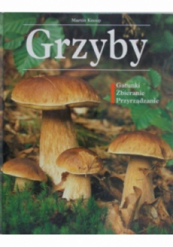 Grzyby Gatunki Zbieranie Przyrządzanie
