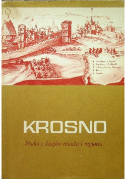 Krosno studia z dziejów miasta i regionu Tom IV