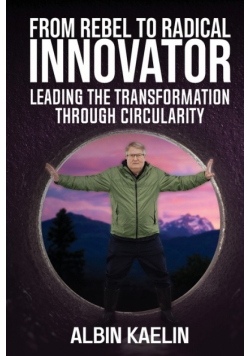 From Rebel to Radical Innovator