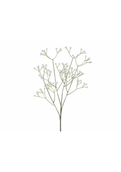Gipsówka biała 62cm