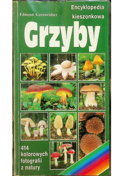 Grzyby