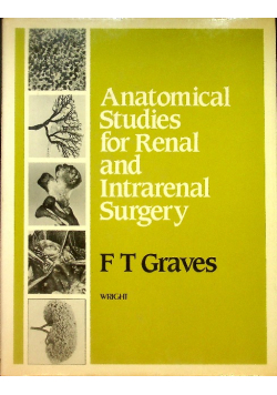 Anatomical Studies for Renal and Intrarenal Surgery