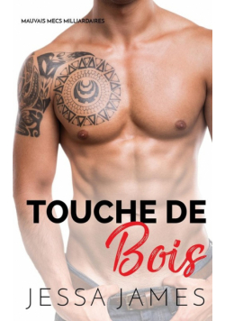 Son milliardaire secret