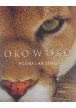 Oko w oko