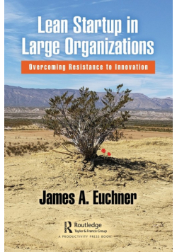 Lean Startup in Large Organizations