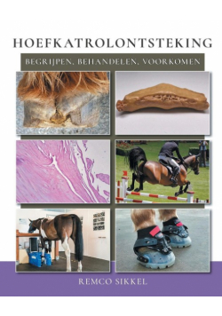 Hoefkatrolontsteking
