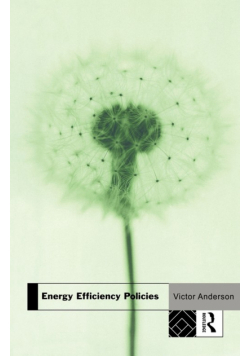 Energy Efficiency Policies