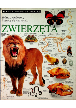 Ilustrowane słowniki Zwierzęta