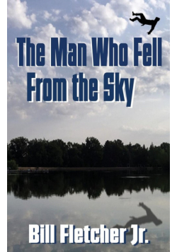 The Man Who Fell From the Sky