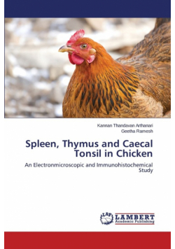 Spleen, Thymus and Caecal Tonsil in Chicken