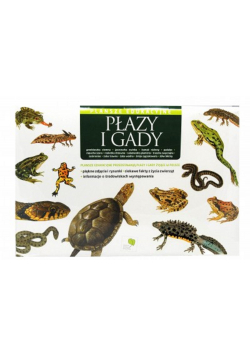 Plansze edukacyjne Płazy i gady
