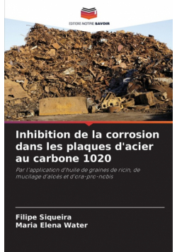 Inhibition de la corrosion dans les plaques d'acier au carbone 1020