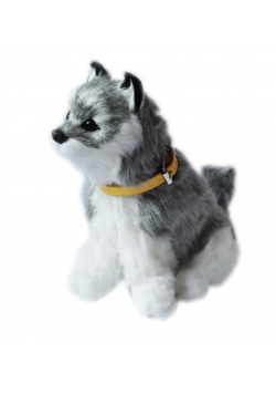 Interaktywny piesek - Husky