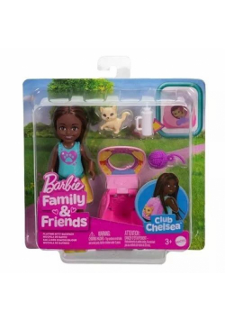 Barbie Family&Friends Klub Chelsea JBF45