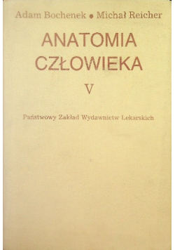 Anatomia człowieka Tom V