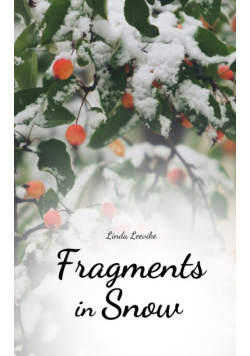 Fragments in Snow