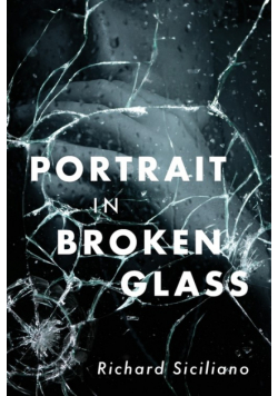 Portrait in Broken Glass