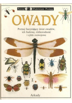 Owady