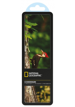 Zakładka 3D National Geographic Dzięcioł