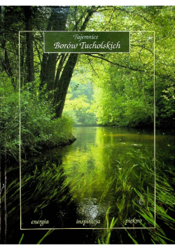 Tajemnice Borów Tucholskich energia inspiracja piękno