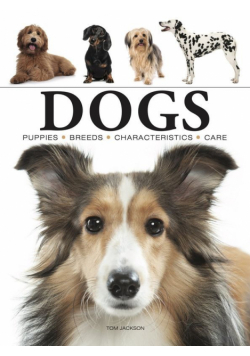 Dogs wer. angielska