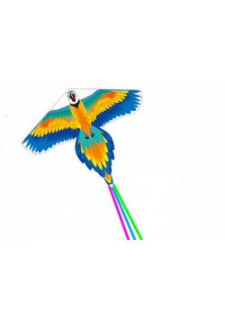 Latawiec ptak długi ogon kolorowy