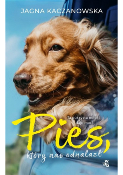 Pies który nas odnalazł