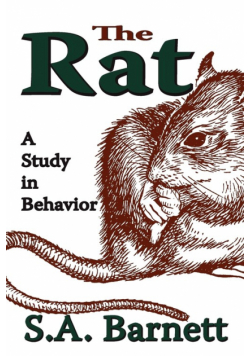 The Rat