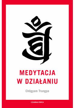 Medytacja w działaniu
