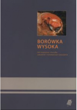 Borówka wysoka