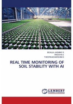 Real Time Monitoring Of Soil Stability With Ai