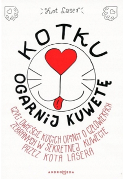 Kot Laser Kotku ogarnij kuwetę