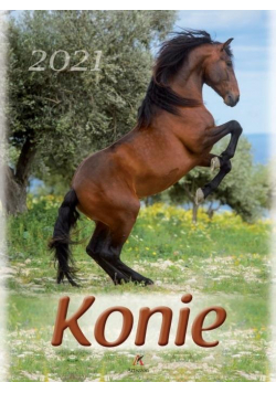 Kalendarz 2021 Ścienny Konie ARTSEZON