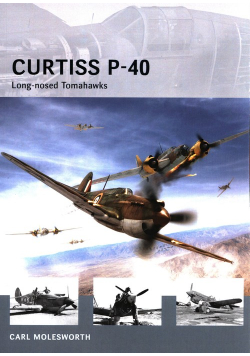 Curtiss P-40