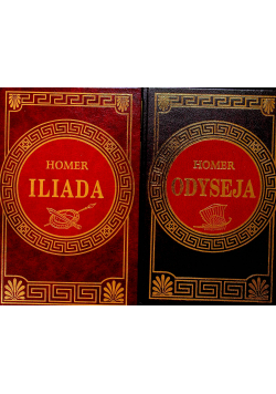 Odyseja/ Iliada