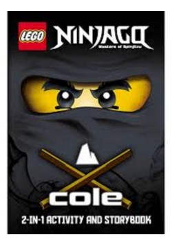 Ninjago masters of Spinjitzu Cole