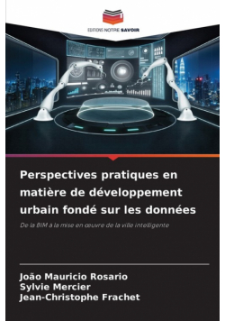 Perspectives pratiques en matière de développement urbain fondé sur les données