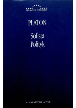 Sofista, Polityk